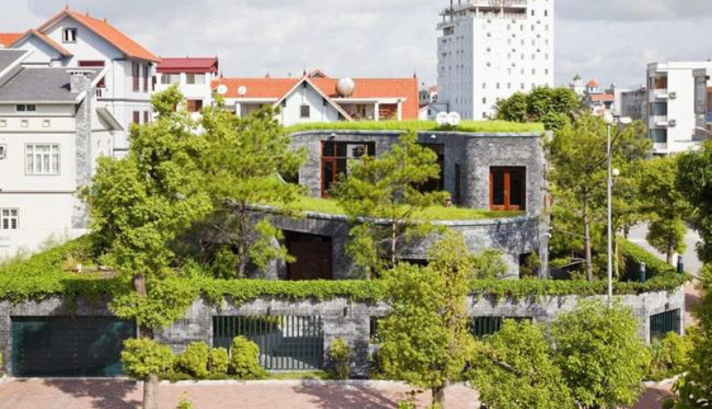 Không gian ngập tràn màu xanh cây cỏ